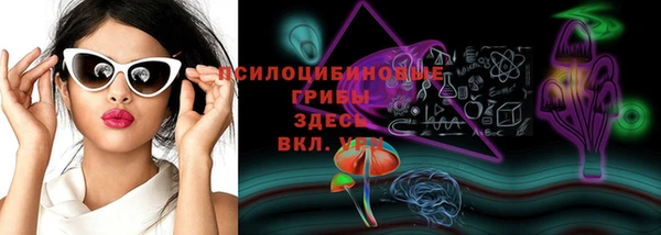 spice Аркадак
