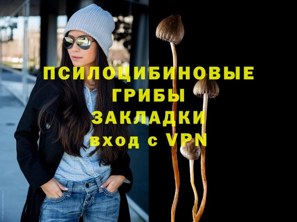 spice Арсеньев